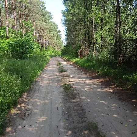 Dom Pod Zurawiami Vila *